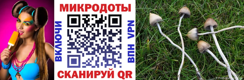 Галлюциногенные грибы мухоморы  цена наркотик  Козьмодемьянск 